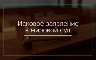 Исковое заявление в мировой суд