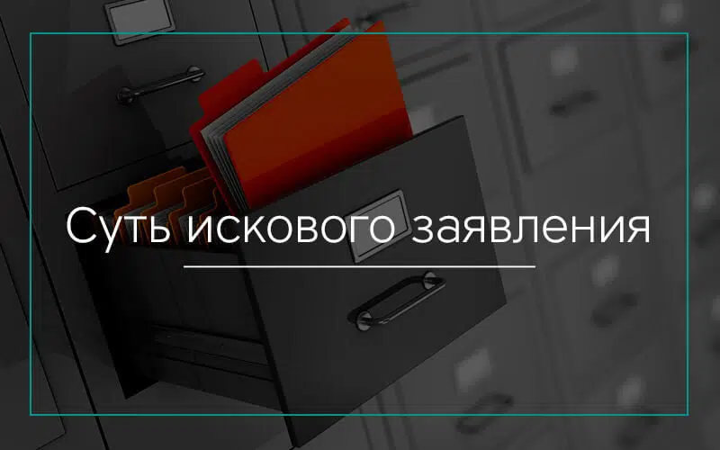 Суть искового заявления