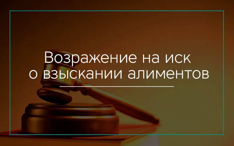Возражение на исковое заявление о взыскании алиментов